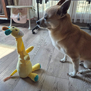 tancuvasht-i-govoresht-zhiraf-klient-3